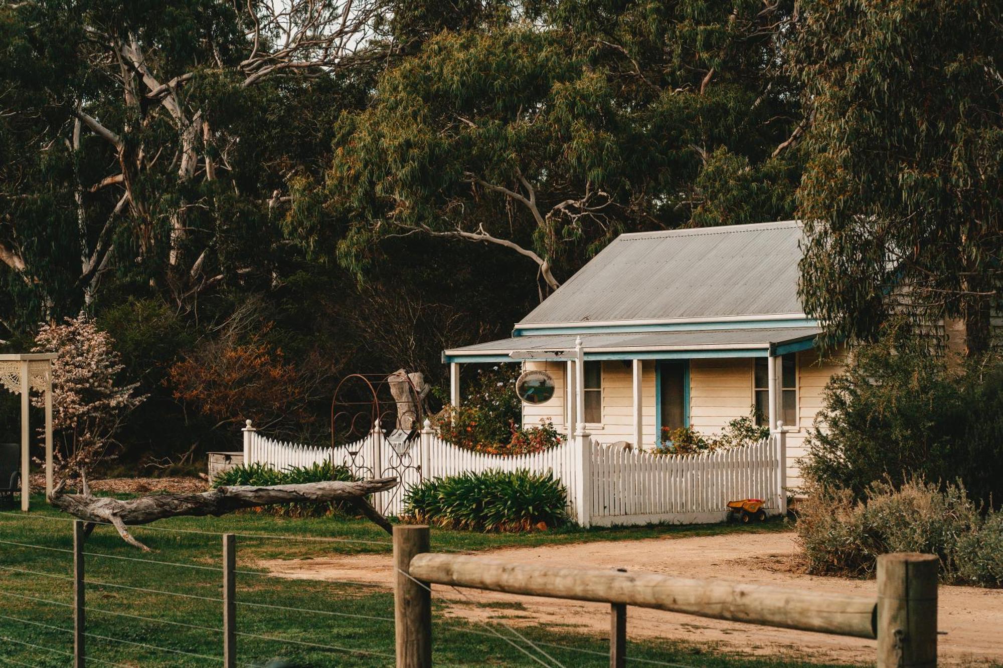 Freshwater Creek Cottages & Farm Stay Торки Екстериор снимка