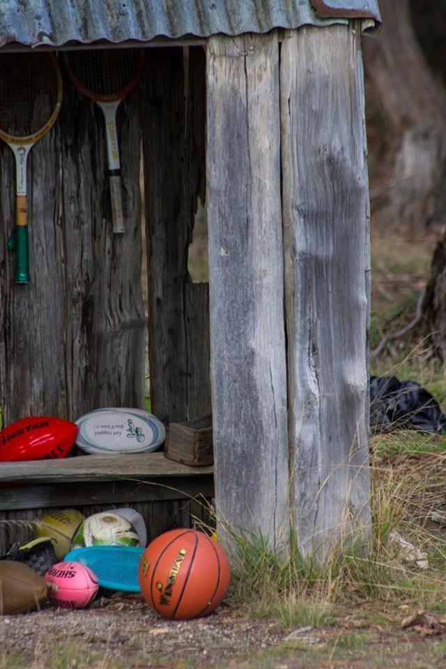 Freshwater Creek Cottages & Farm Stay Торки Екстериор снимка